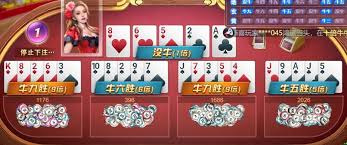 开云棋牌官方平台｜轻松娱乐，智趣无穷